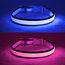 YFbrite Leuchtendes Hundehalsband, wiederaufladbares LED-Hundehalsbands, blinkendes verstellbares reflektierendes Hundehalsbands, Sicherheit leuchtet bei Nacht (Blau, S)