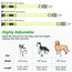 Visinite Leuchtendes LED-Hundehalsband, wiederaufladbar, wasserdicht, reflektierend, verstellbar, blinkend für mittelgroße und große Hunde, Grün, Größe M