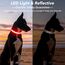 Visinite Leuchtendes LED-Hundehalsband, Wiederaufladbar, Wasserdicht, Reflektierend, Vollständig Verstellbar, Blinkend, für Mittelgroße und Große Hunde, Rot, Größe M