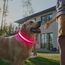 Leuchtendes Hundehalsband, wiederaufladbar über USB-C, reflektierendes, im Dunkeln leuchtendes Hundehalsband mit 7 Beleuchtungsmodi für Sicherheit bei Nacht (Grau, Medium)