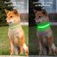 Visinite Leuchtendes LED-Hundehalsband, wiederaufladbar, wasserdicht, reflektierend, verstellbar, blinkend für mittelgroße und große Hunde, Grün, Größe M