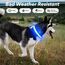 Visinite Leuchtendes LED-Hundehalsband - Wiederaufladbar, Wasserdicht, Reflektierend, Vollständig Verstellbar, Blinkend für Mittelgroße und Große Hunde