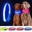 YFbrite Leuchtendes Hundehalsband, wiederaufladbares LED-Hundehalsbands, blinkendes verstellbares reflektierendes Hundehalsbands, Sicherheit leuchtet bei Nacht (Blau, M)