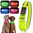 YFbrite Leuchtendes Hundehalsband, wiederaufladbares LED-Hundehalsbands, blinkendes verstellbares reflektierendes Hundehalsbands, Sicherheit leuchtet bei Nacht (Grün, L)