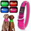 YFbrite Leuchtendes Hundehalsband, wiederaufladbares LED-Hundehalsbands, blinkendes verstellbares reflektierendes Hundehalsbands, Sicherheit leuchtet bei Nacht (Rosa, S)