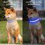 Visinite Leuchtendes LED-Hundehalsband - Wiederaufladbar, Wasserdicht, Reflektierend, Vollständig Verstellbar, Blinkend für Mittelgroße und Große Hunde