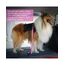 AUBELL Anschnallgurt Hund Auto,Einstellbar Haustier Auto sicherheitsgurt für Hunde, Bungee Hunde Anschnallgurt Geschirr Tether mit Clip Haken-Verschluss & Schnalle, Swivel Karabiner,Rosa