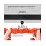 AUBELL Anschnallgurt Hund Auto,Einstellbar Haustier Auto sicherheitsgurt für Hunde, Bungee Hunde Anschnallgurt Geschirr Tether mit Clip Haken-Verschluss & Schnalle, Swivel Karabiner, Orange