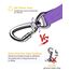 AUBELL Anschnallgurt Hund Auto,Einstellbar Haustier Auto sicherheitsgurt für Hunde, Bungee Hunde Anschnallgurt Geschirr Tether mit Clip Haken-Verschluss & Schnalle, Swivel Karabiner,Lila