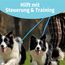 Retrieverleine mit Zugstopp, 180 cm Hundeleine mit Halsband, Witterungsbeständig Leine Hund Einstellbar Trainingsleine für Kleine bis Große Hunde, Hellblau