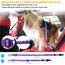 AUBELL Anschnallgurt Hund Auto,Einstellbar Haustier Auto sicherheitsgurt für Hunde, Bungee Hunde Anschnallgurt Geschirr Tether mit Clip Haken-Verschluss & Schnalle, Swivel Karabiner,Lila