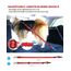 AUBELL Anschnallgurt Hund Auto,Einstellbar Haustier Auto sicherheitsgurt für Hunde, Bungee Hunde Anschnallgurt Geschirr Tether mit Clip Haken-Verschluss & Schnalle, Swivel Karabiner, Rot