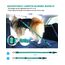 AUBELL Anschnallgurt Hund Auto,Einstellbar Haustier Auto sicherheitsgurt für Hunde, Bungee Hunde Anschnallgurt Geschirr Tether mit Clip Haken-Verschluss & Schnalle, Swivel Karabiner,Türkise