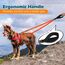 PetBonus No Pull Anti-Zieh Hundeleine, Keine Verwicklung Doppelleine für Anti-Zug Geschirr, Reflektierend Hundeleine zum Trainieren und Gassi gehen für große mittlere Hunde (Orange)