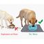 Joytale Silikon-Futtermatte für Hunde, rutschfeste wasserdichte Futtermatte mit erhöhtem Rand für Hunde und Katzen,53 x 37cm,Grau