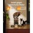 oneisall 5L Futterautomat Katze 2 Näpfe, Katzenfutter Automat mit einem Knopf, Einfache Bedienung, Futterspender für Katzen/Hunde, mit Edelstahlschüssel, Voice Recorder, für kleine/mittlere Haustiere