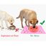 Joytale Silikon-Futtermatte für Hunde, rutschfeste wasserdichte Futtermatte mit erhöhtem Rand für Hunde und Katzen,47 x 30cm, Rosa