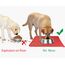 Joytale Silikon-Futtermatte für Hunde, rutschfeste wasserdichte Futtermatte mit erhöhtem Rand für Hunde und Katzen,53 x 37cm,Rot
