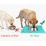 Joytale Silikon-Futtermatte für Hunde, rutschfeste wasserdichte Futtermatte mit erhöhtem Rand für Hunde und Katzen,47 x 30cm,Türkis