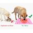 Joytale Silikon-Futtermatte für Hunde, rutschfeste wasserdichte Futtermatte mit erhöhtem Rand für Hunde und Katzen,53 x 37cm, Rosa