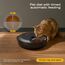 Futterautomat Katze Nassfutter Katzenfutter Automat: Futterspender Katze mit Programmierbarem Timer und Kuehlung - Trockenfutterspender für Hund Kabellos Batteriebetrieben - 4 Mahlzeiten für Haustiere