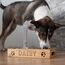LAUBLUST Futterstation mit Name Personalisiert für Hunde - Natur | Größen M, L, XL - Futternapf & Wassernapf Hund | 2 Edelstahl Fressnäpfe als Hundezubehör | Fressnapf mit Gravur | Hundenapf erhöht