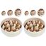 PiuPet® Antischlingnapf Hunde I 1,4L I Spülmaschinenfest | Schlingnapf Hunde groß I Anti Schling Napf Hund | Slow Feeder Hundenapf | Futternapf Hund | Dog Bowl (Packung mit 2)