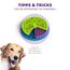 Outward Hound Nina Ottosson Hundespielzeug Intelligenz - Stufe 2 Erfahrene - Leckerli-Spender, Beschäftigung & Intelligenzspielzeug für Hunde & Welpen, bei Langeweile & mentaler Stimulation
