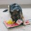 Outward Hound Nina Ottosson Activity Matz Fast Food Fun - Spielmatte für Hunde - plüschig & unterhaltsam