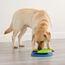 Outward Hound Nina Ottosson Hundespielzeug Intelligenz - Stufe 2 Erfahrene - Leckerli-Spender, Beschäftigung & Intelligenzspielzeug für Hunde & Welpen, bei Langeweile & mentaler Stimulation