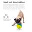 Outward Hound Nina Ottosson Hundespielzeug Intelligenz - Stufe 1 Anfänger - Leckerli-Spender, Beschäftigung & Intelligenzspielzeug für Hunde & Welpen, bei Langeweile & mentaler Stimulation