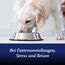 Canosept Darmflora Hund - Präbiotika & Probiotika Hund - Zur Stabilisierung der physiologischen Verdauung - Hund Darmflora Aufbauen - Darmsarnierung Hund - Darmkur Hund - 30 Tabletten