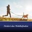 Canosept Gelenktabletten Hund - Einzigartige Rezeptur: Mit Grünlippmuschel, Glucosamin, Kollagen - Hervorragende Akzeptanz - 20 Tabletten