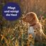 Canosept Wundspray für Hunde 75ml - Zur Reinigung und Pflege von Wundbereichen - Optimale Wundversorgung - Stressfreie Anwendung - Von Tierärzten empfohlen