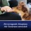 Canosept Darmflora Hund - Präbiotika & Probiotika Hund - Zur Stabilisierung der physiologischen Verdauung - Hund Darmflora Aufbauen - Darmsarnierung Hund - Darmkur Hund - 30 Tabletten