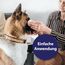 Canosept Augenpflege-Pads für Hunde 3 x 100 Stück - Augenpflege Hund & Tränenfleckenentferner Hund – Augenreiniger für Hunde mit beruhigendem Aloe Vera Extrakt, schonende Hundepflege