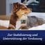 Canosept Darmflora Hund - Präbiotika & Probiotika Hund - Zur Stabilisierung der physiologischen Verdauung - Hund Darmflora Aufbauen - Darmsarnierung Hund - Darmkur Hund - 30 Tabletten