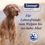 Canosept Darmflora Hund - Präbiotika & Probiotika Hund - Zur Stabilisierung der physiologischen Verdauung - Hund Darmflora Aufbauen - Darmsarnierung Hund - Darmkur Hund - 30 Tabletten