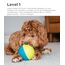 Outward Hound Nina Ottosson Hundespielzeug Intelligenz - Stufe 1 Anfänger - Leckerli-Spender, Beschäftigung & Intelligenzspielzeug für Hunde & Welpen, bei Langeweile & mentaler Stimulation