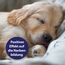 Canosept Wundgel für Hunde 20ml - Wundsalbe Hund - Reinigung & Pflege von Wundbereichen beim Hund - Optimale Wundversorgung - Stressfreie Anwendung - Von Tierärzten empfohlen