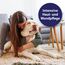 Canosept Mikro Silberspray für Hunde 75ml - Silberspray Hund gegen Juckreiz Hunde - Wundspray Hund - Schmerzfrei für den Welpen - ohne Aluminium & kolloidales Silber - spendet Feuchtigkeit