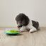 Outward Hound Nina Ottosson Wobble Bowl - Intelligenzspielzeug/Anti-Schling-Napf für Hunde - interaktiv
