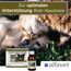 alfavet, ReConvales Gastro Balance für Katze und Hund, zur Pflege der Magenschleimhaut mit Säureregulator, Ergänzungsfuttermittel, 3 x 90 ml