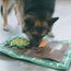 Outward Hound Nina Ottosson Activity Matz Garden Game - Spielmatte für Hunde - plüschig & unterhaltsam