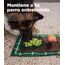 Outward Hound Nina Ottosson Activity Matz Garden Game - Spielmatte für Hunde - plüschig & unterhaltsam
