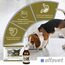 alfavet, ReConvales Gastro Balance für Katze und Hund, zur Pflege der Magenschleimhaut mit Säureregulator, Ergänzungsfuttermittel, 3 x 90 ml