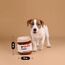CHEWFFON Hundespielzeug Puzzle, Interaktives Hundespielzeug, Hundebereicherungsspielzeug Gegen Langeweile und zur Stimulierung, Versteck- und Schnüffel-Knisternspielzeug
