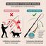 HUND IST KÖNIG Reizangel für Hunde - Profi Hundeangel für ultimativen Spielspaß & körperliche Auslastung - inkl. 2 Tauen + Ersatzseil + eBook - robust & leicht, für große & kleine Fellnasen