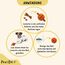 PawsOnly | Hundespielzeug | Leckerli Ball für Hunde | Intelligenzspielzeug | Snackball Hund | Hundebeschäftigung | Futterball Naturkautschuk | Welpenspielzeug | Zahnputzball (Klein 6 cm, Orange)