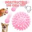 10Pcs Hundespielzeug für Kleine Hunde, Quietschende Plüsch Hundespielzeug Set, Welpe Zahnen Spielzeug Seil Ball, Unzerstörbar Hund Kauspielzeug, Hundespielzeug Geschenk für Kleine Mittlere Hunde